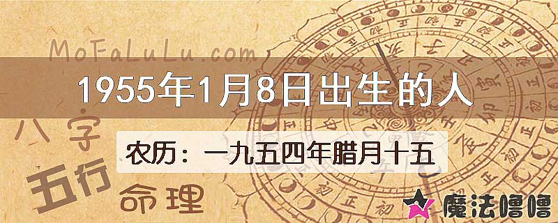 1955年1月8日出生的八字怎么样？