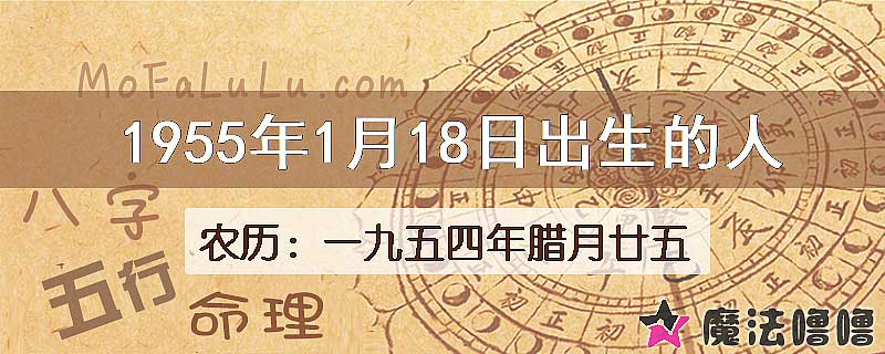 1955年1月18日出生的八字怎么样？