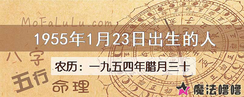 1955年1月23日出生的八字怎么样？