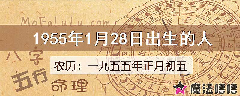 1955年1月28日出生的八字怎么样？