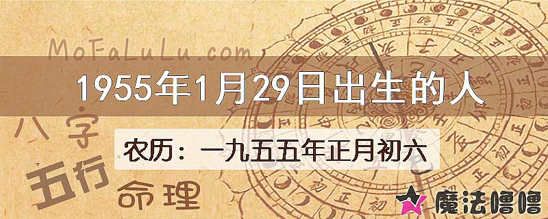 1955年1月29日出生的八字怎么样？