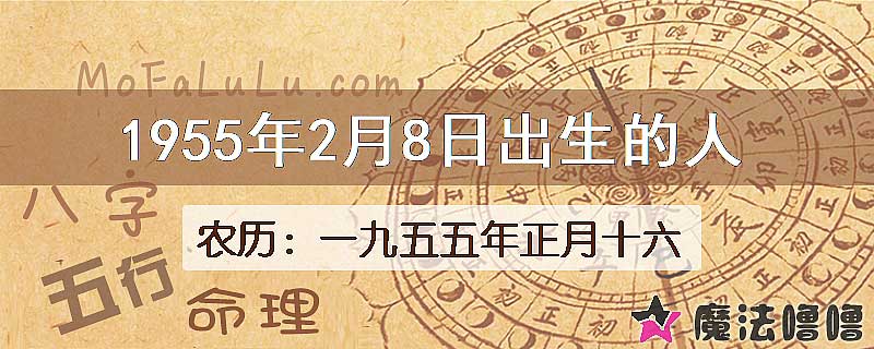 1955年2月8日出生的八字怎么样？