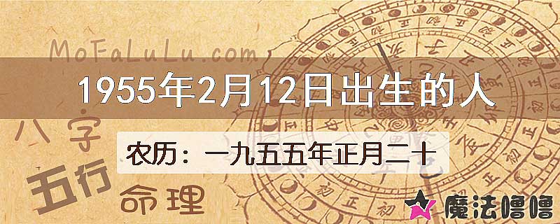 1955年2月12日出生的八字怎么样？