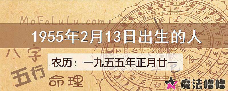 1955年2月13日出生的八字怎么样？