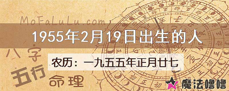 1955年2月19日出生的八字怎么样？