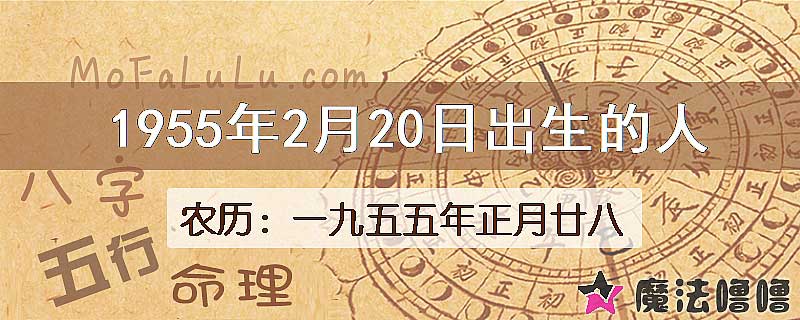 1955年2月20日出生的八字怎么样？