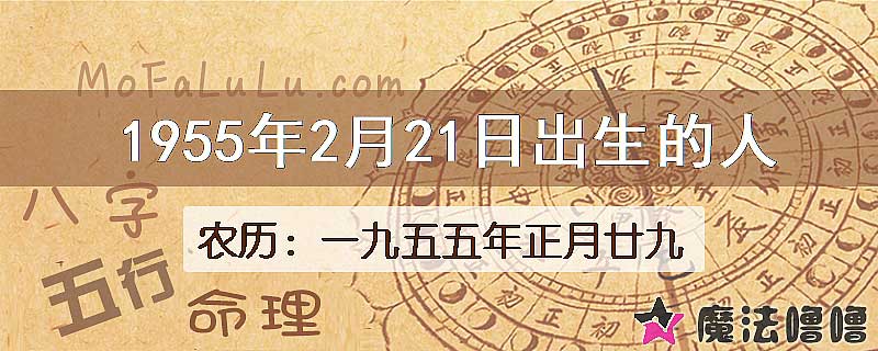 1955年2月21日出生的八字怎么样？