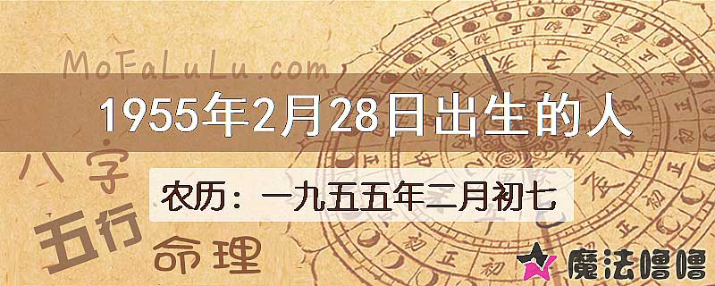 1955年2月28日出生的八字怎么样？