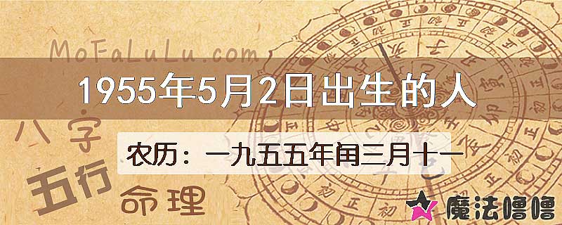 1955年5月2日出生的八字怎么样？