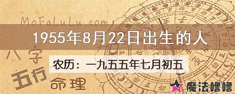 1955年8月22日出生的八字怎么样？