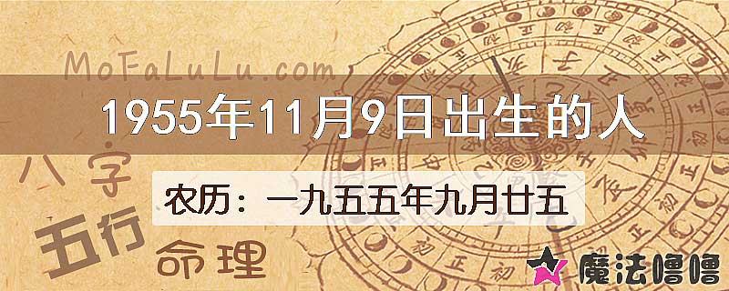 1955年11月9日出生的八字怎么样？