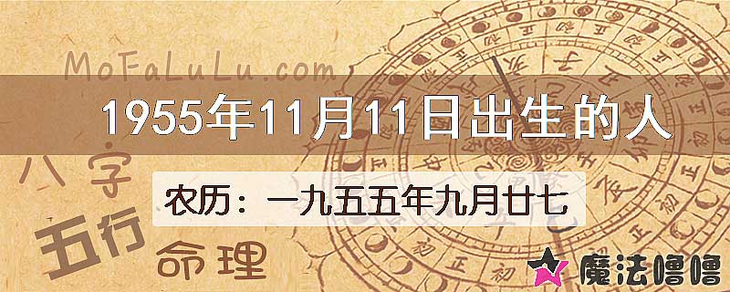 1955年11月11日出生的八字怎么样？