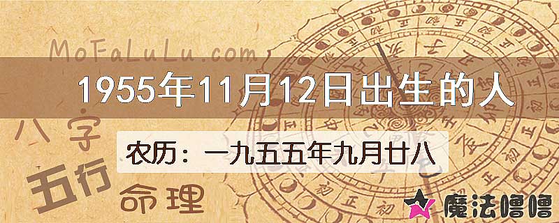 1955年11月12日出生的八字怎么样？