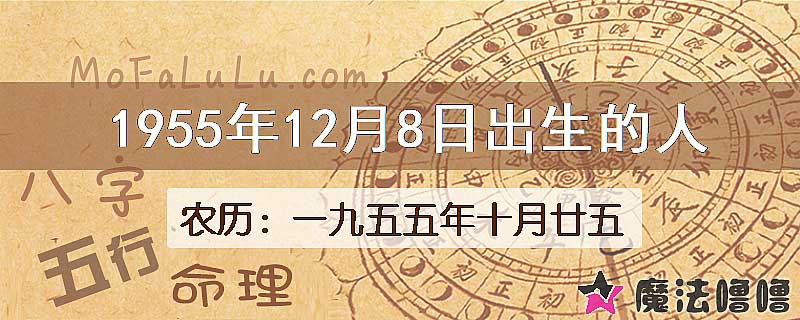 1955年12月8日出生的八字怎么样？