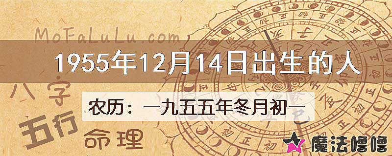 1955年12月14日出生的八字怎么样？