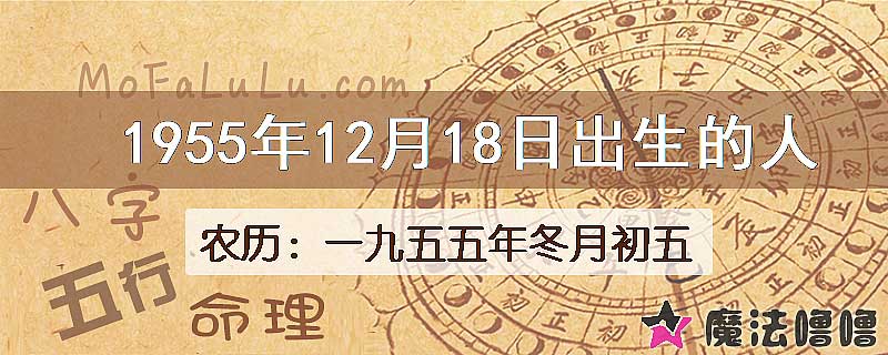 1955年12月18日出生的八字怎么样？