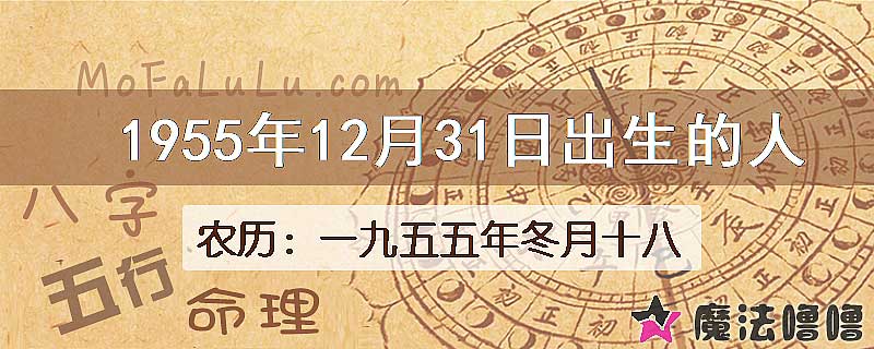 1955年12月31日出生的八字怎么样？