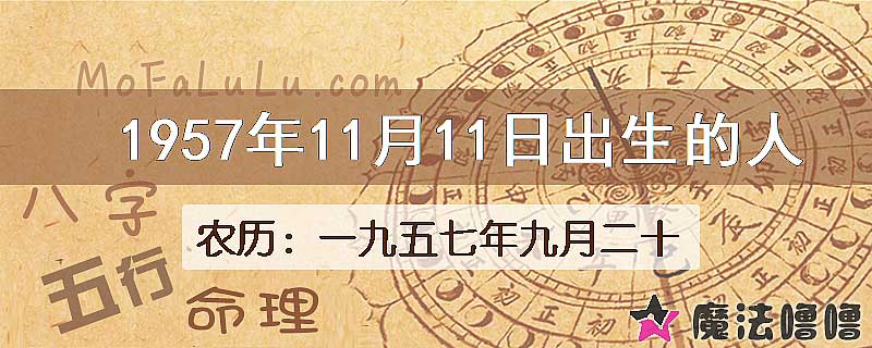 1957年11月11日出生的八字怎么样？