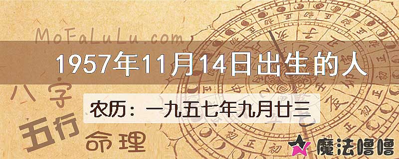 1957年11月14日出生的八字怎么样？