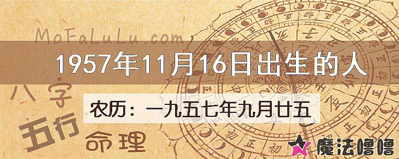 1957年11月16日出生的八字怎么样？