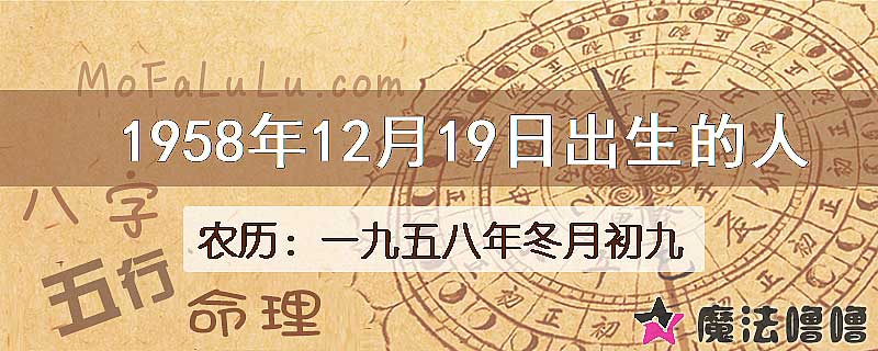 1958年12月19日出生的八字怎么样？