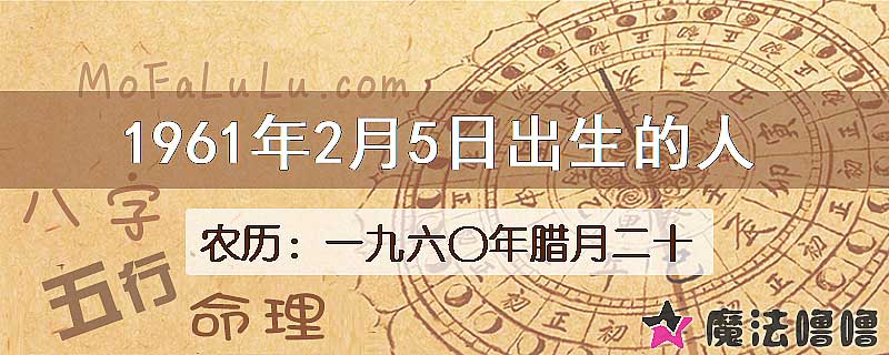 1961年2月5日出生的八字怎么样？