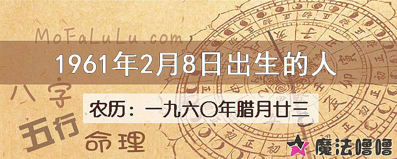 1961年2月8日出生的八字怎么样？