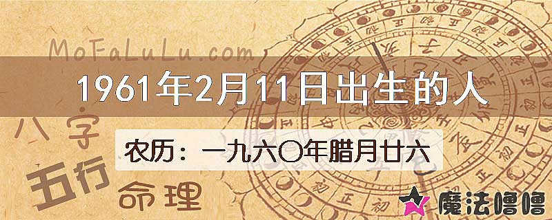 1961年2月11日出生的八字怎么样？