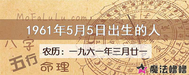 1961年5月5日出生的八字怎么样？