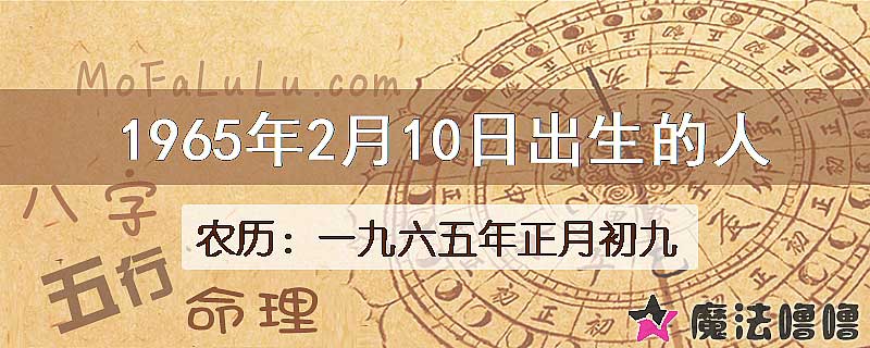 1965年2月10日出生的八字怎么样？