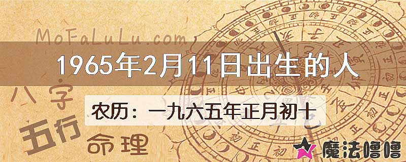 1965年2月11日出生的八字怎么样？