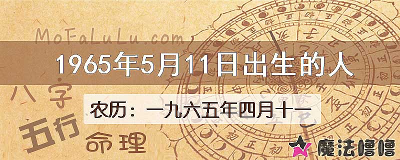 1965年5月11日出生的八字怎么样？