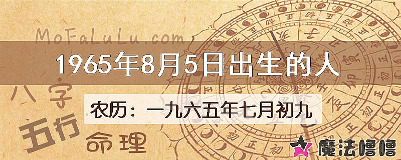 1965年8月5日出生的八字怎么样？