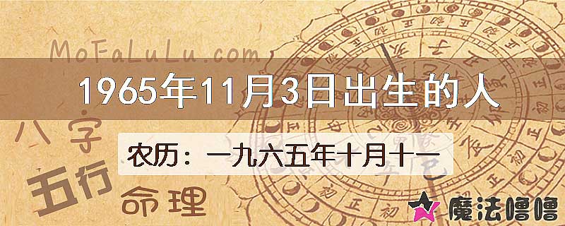 1965年11月3日出生的八字怎么样？