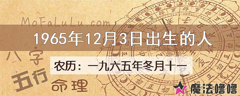 1965年12月3日出生的八字怎么样？