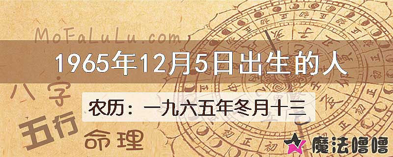 1965年12月5日出生的人