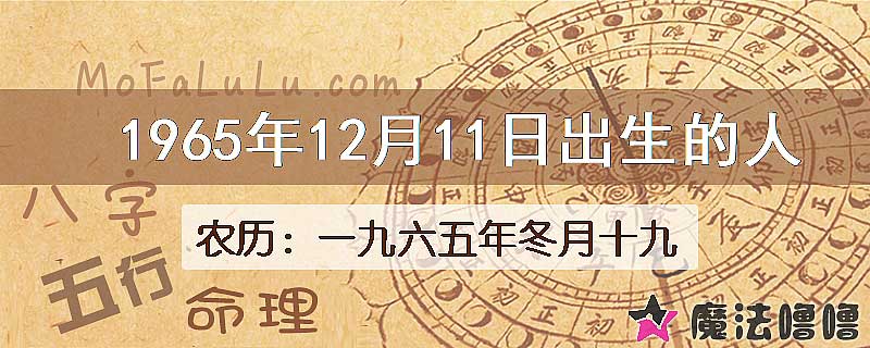 1965年12月11日出生的八字怎么样？