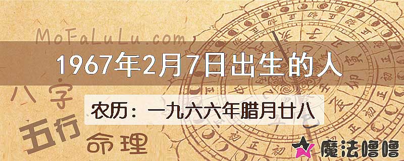 1967年2月7日出生的八字怎么样？