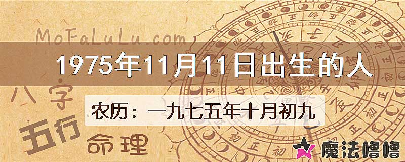 1975年11月11日出生的八字怎么样？