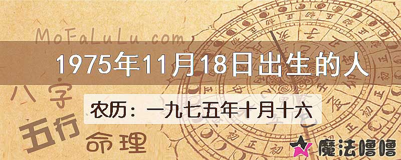 1975年11月18日出生的八字怎么样？