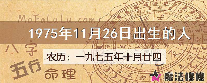 1975年11月26日出生的八字怎么样？