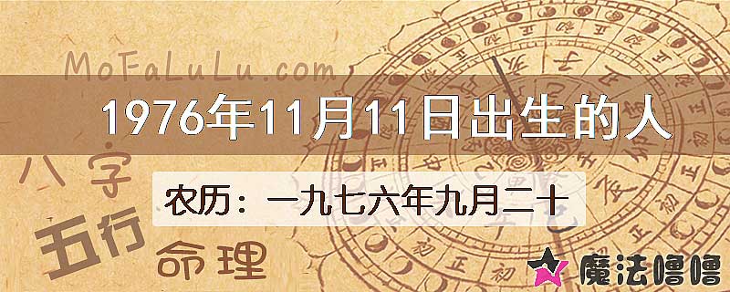 1976年11月11日出生的八字怎么样？