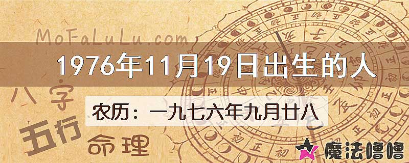 1976年11月19日出生的八字怎么样？