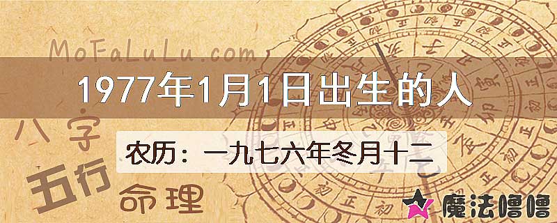 1977年1月1日出生的八字怎么样？