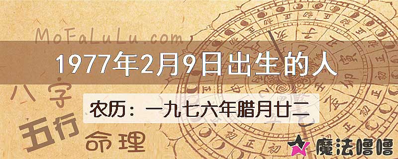 1977年2月9日出生的八字怎么样？