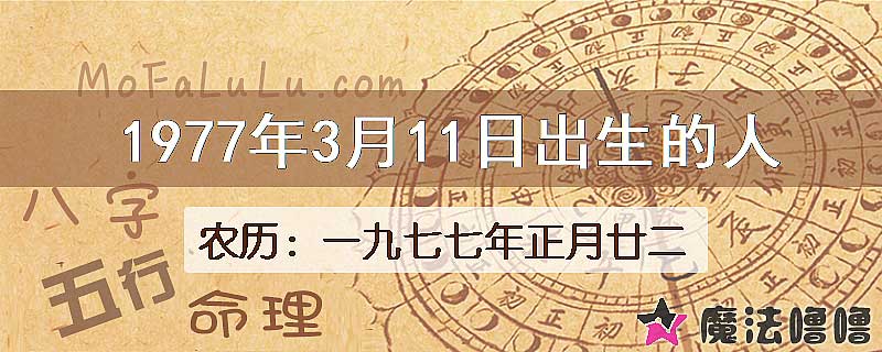 1977年3月11日出生的八字怎么样？