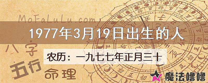 1977年3月19日出生的八字怎么样？