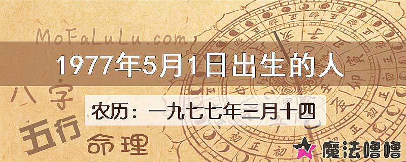 1977年5月1日出生的八字怎么样？