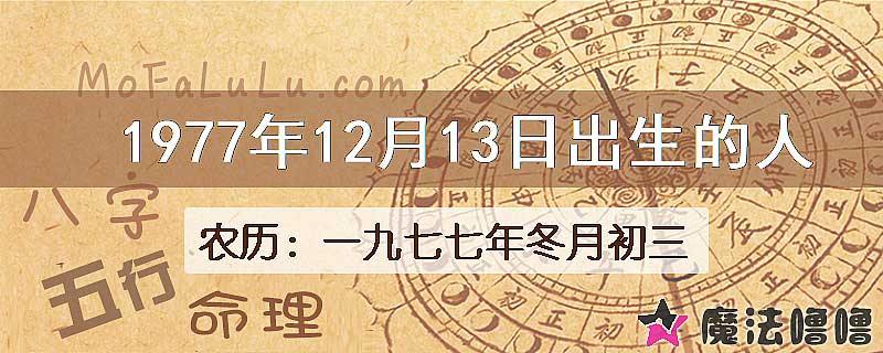 1977年12月13日出生的人