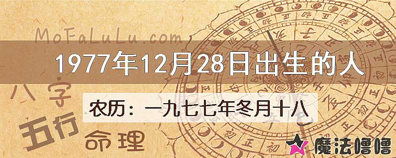 1977年12月28日出生的八字怎么样？